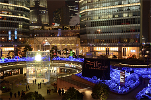 Shanghai's backyard garden: a place to open the door to the treasure of nature! Shanghai's backyard garden: a place to open the door to the treasure of nature!