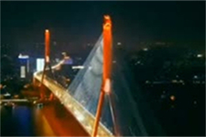 The revival of Shanghai's tea houses and the development of the tea industry The revival of Shanghai's tea houses and the development of the tea industry